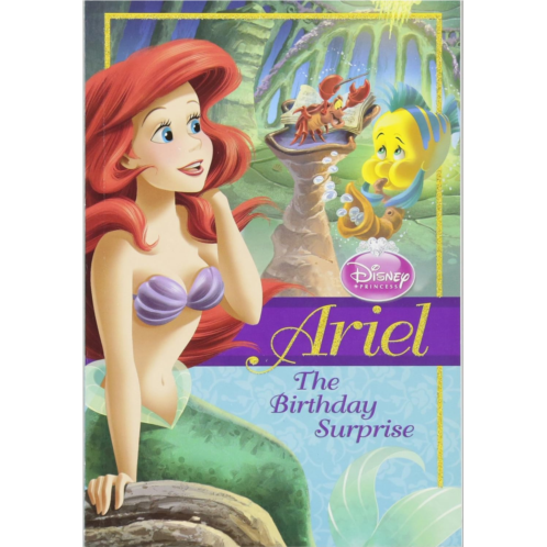 Disney Princess: Ariel: The Birthday Surprise (Disney Princess Chapter Book: Series #1): 9781423129714: Disney Book Group, Studio IBOIX, Cagol, Andrea: Books