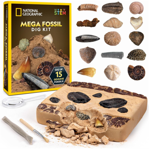 NATIONAL GEOGRAPHIC Mega Fossil Dig Kit - Excavate 15 Genuine Prehistoric Fossils, Kids Educational Toys, Great Science Kit Gift for Girls and Boys (Amazon Exclusive)