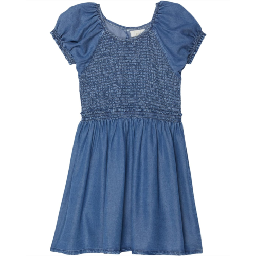 PEEK Smocked Dress (Toddler/Little Kids/Big Kids)