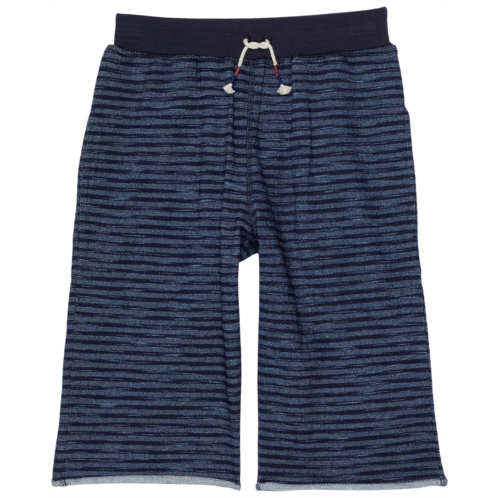 PEEK Indigo Stripe Knit Shorts (Toddler/Little Kids/Big Kids)