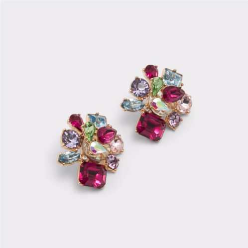 ALDO Malamocco Multi Womens Earrings