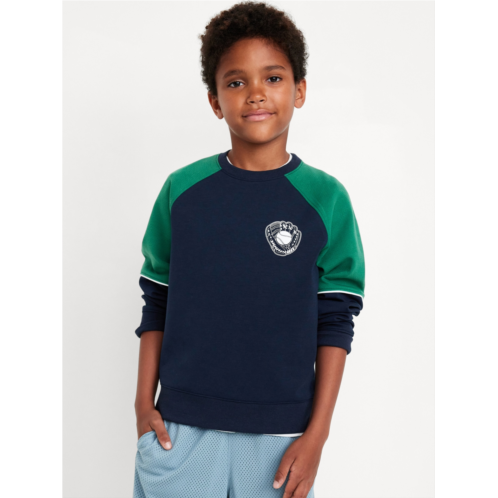 Oldnavy Dynamic Fleece Color Block Graphic Sweatshirt for Boys Hot Deal