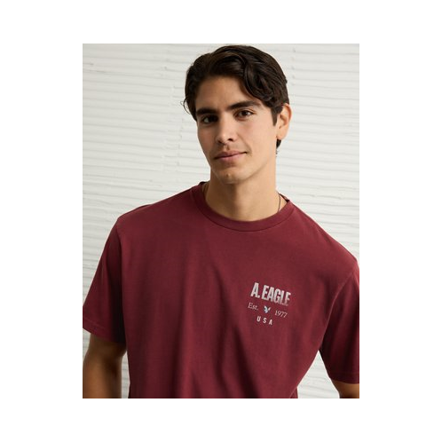 American Eagle AE Logo Graphic T-Shirt
