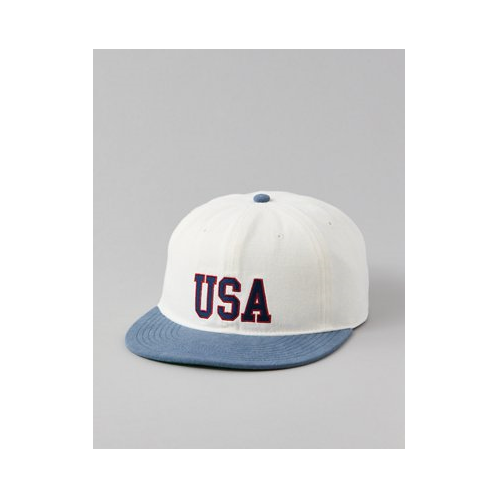 American Eagle AE Americana Baseball Hat