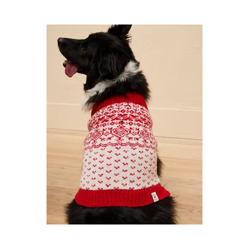 American Eagle ABO Fair Isle Dog Sweater