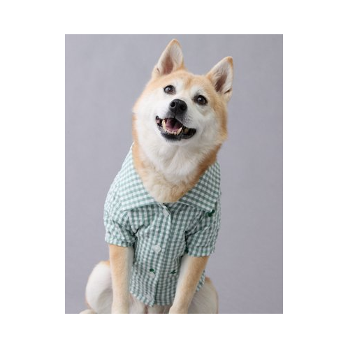 American Eagle ABO Gingham Hearts Button-Up Dog Shirt