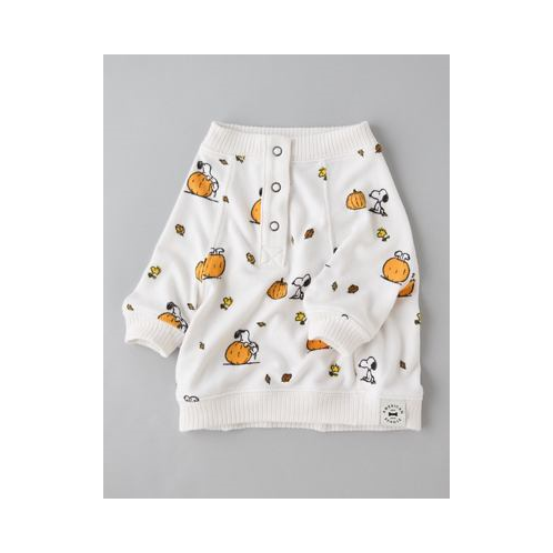 American Eagle ABO Snoopy Pumpkin Plush Dog PJ Set
