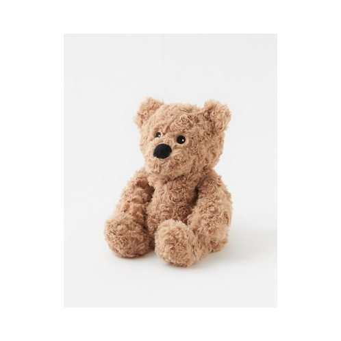 American Eagle Warmies Teddy Bear