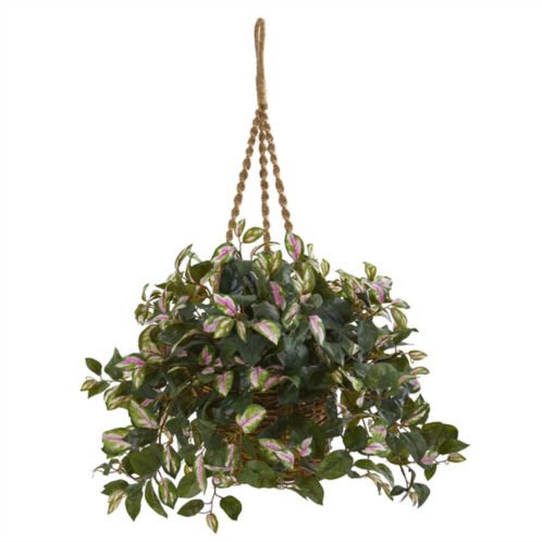 HomPlanti hoya artificial plant hanging basket