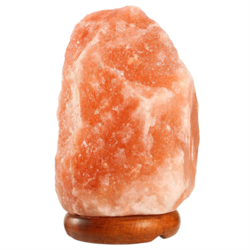 Fresh Fab Finds dimmable crystal rock salt lamp - hand carved table lamp with wood base