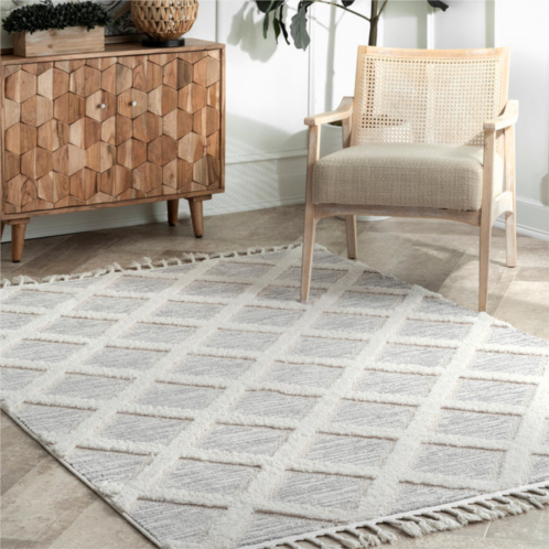 NuLOOM catalina shaggy trellis area rug