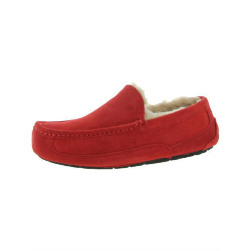 Ugg ascot mens suede shearling moccasin slippers