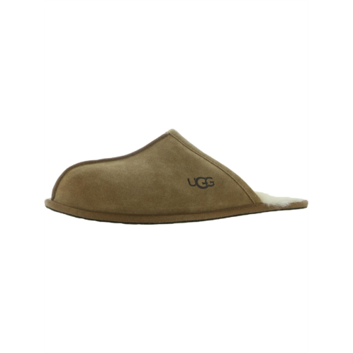 Ugg scuff mens suede slip on scuff slippers