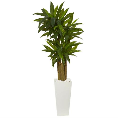 HomPlanti cornstalk dracaena artificial plant in white tower planter 5