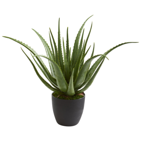 HomPlanti aloe artificial plant