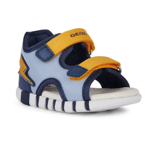 Geox navy iupidoo bolt sandals