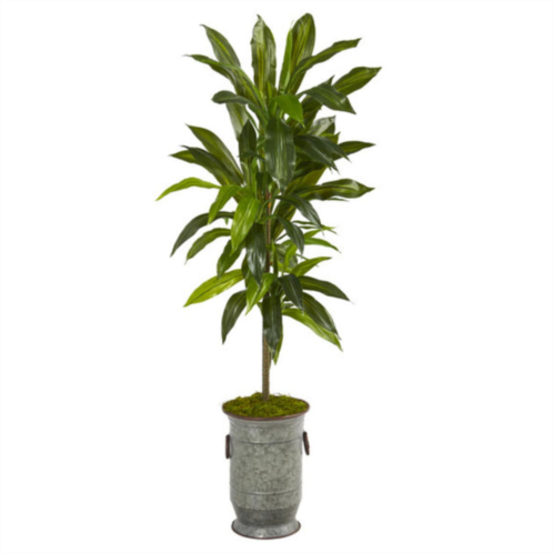 HomPlanti dracaena artificial plant in vintage metal planter (real touch) 4