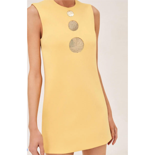 ALEXIS vango mini dress in mimosa