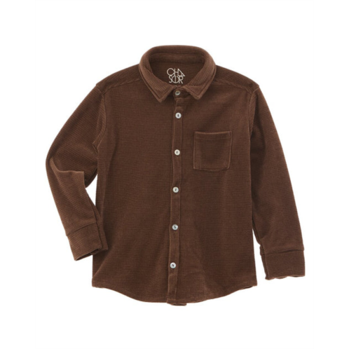 Chaser button-down shirt