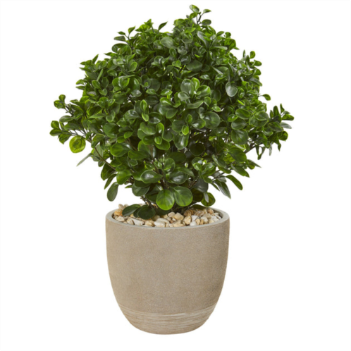 HomPlanti peperomia artificial plant in sand stone planter uv resistant (indoor/outdoor) 30