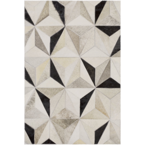 Surya trail indoor modern rug