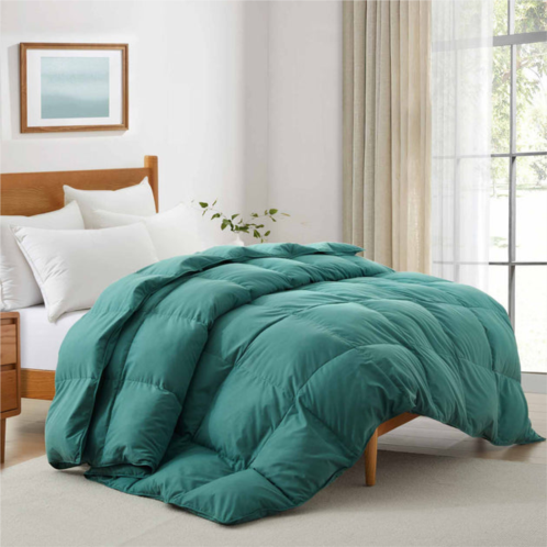 Puredown ultra soft fabric all season premium feather fiber and microfiber comforter with 360tc, green