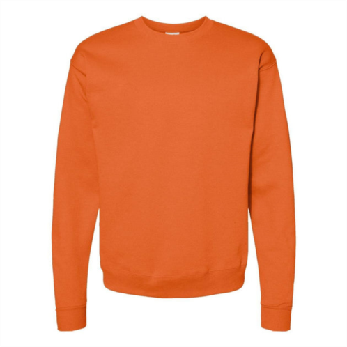 Hanes ecosmart crewneck sweatshirt