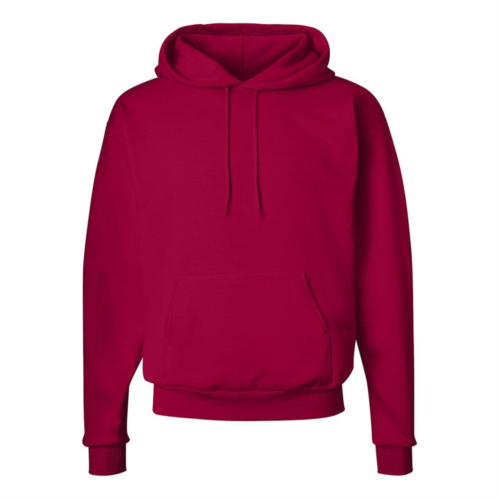 Hanes ecosmart hooded sweatshirt