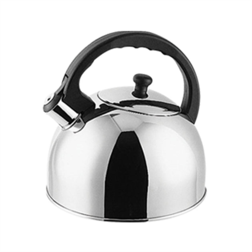 Lynns saturn 300f tea kettle 2.5qt
