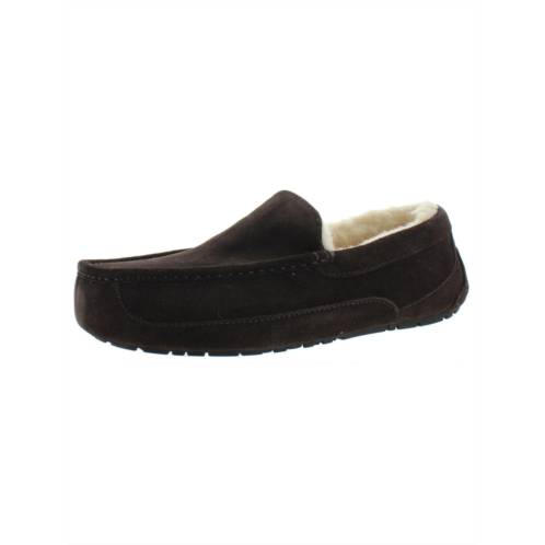 Ugg ascot mens suede shearling moccasin slippers