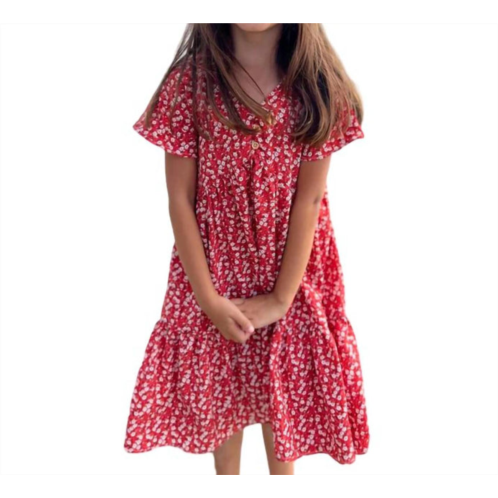 VIGNETTE junior wanda dress in dusty red floral