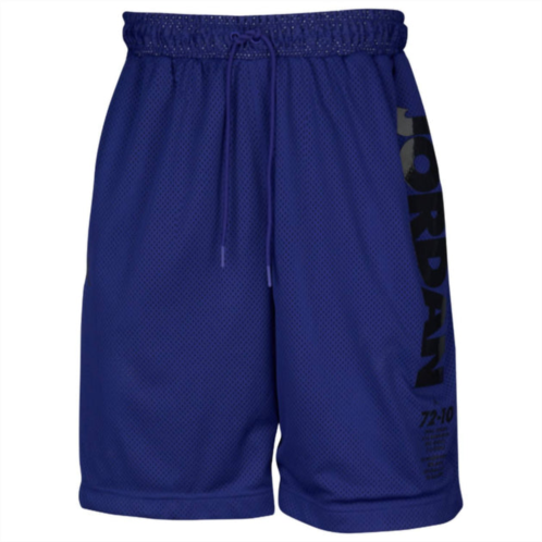 Jordan legacy concord shorts in purple/black