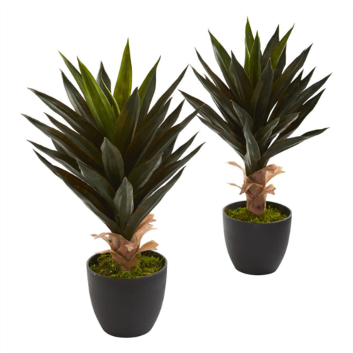 HomPlanti agave artificial plant (set of 2)