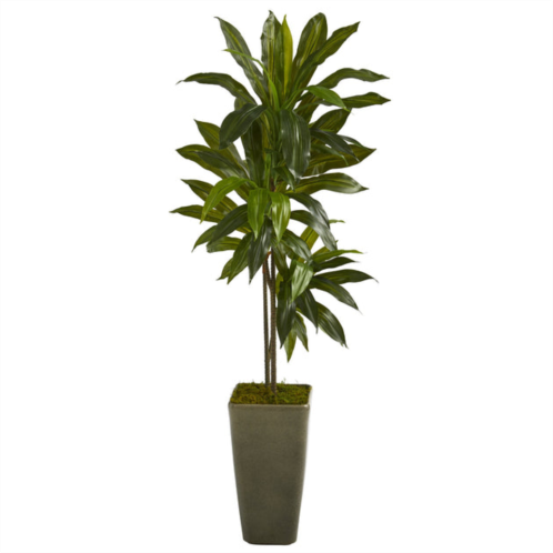 HomPlanti dracaena artificial plant in green planter (real touch) 4.5
