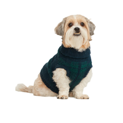 Bare womens the plaid dog sweater