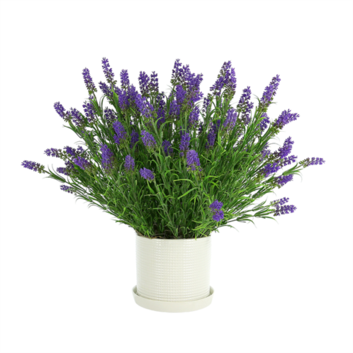 Creative Displays lavender floral arrangement in a ceramic pot with a saucer