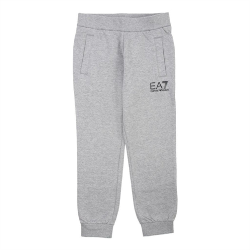 Armani EA7 gray sweatpants