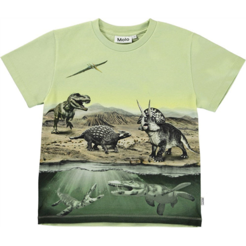 Molo green dino earth t-shirt