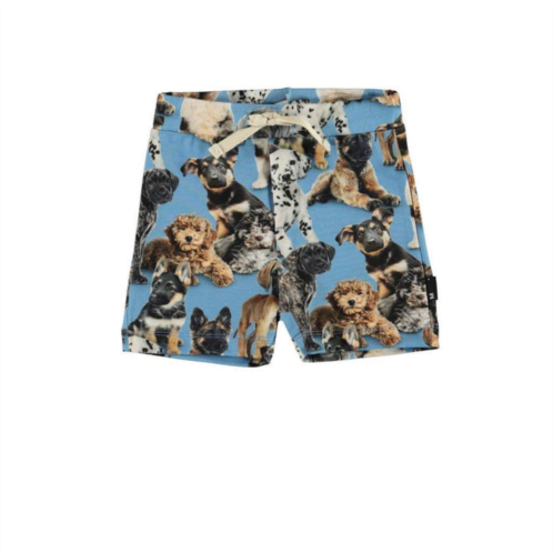Molo blue puppy shorts