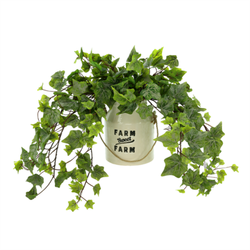 Creative Displays ivy arrangement in a ceramic pot