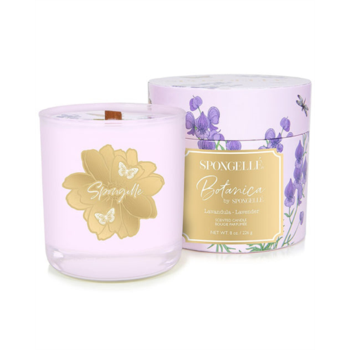 spongelle botanica 8oz hand poured candle: lavender