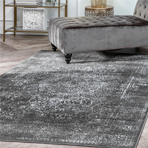 NuLOOM transitional persian delores area rug