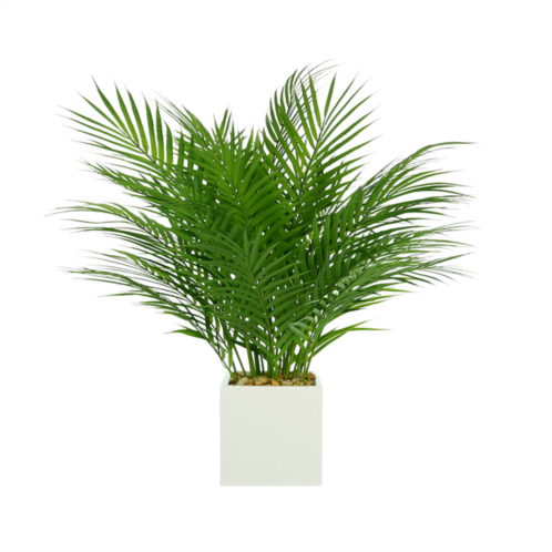 Creative Displays areca palm in a square pot with rocks and water