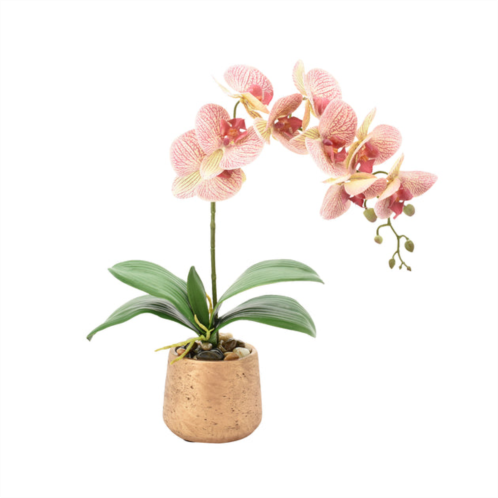 Creative Displays yellow & pink orchid floral arrangement