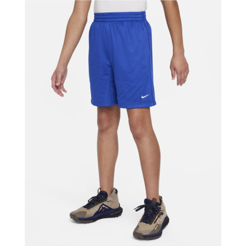 Nike Multi Big Kids (Boys) Dri-FIT Mesh Shorts