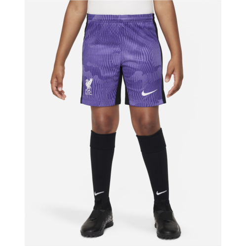 Liverpool FC 2023/24 Stadium Third Big Kids Nike Dri-FIT Soccer Shorts
