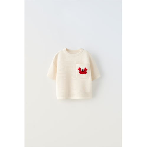 Zara EMBROIDERED CROCKETED KNIT T-SHIRT