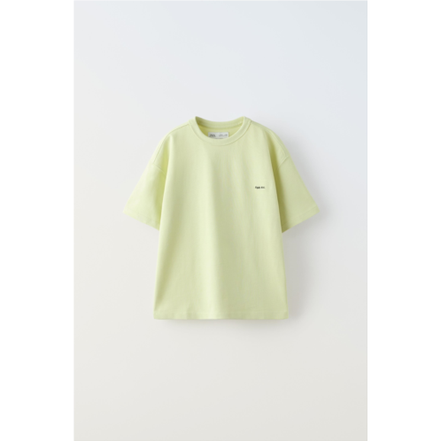 Zara EMBROIDERED HEAVYWEIGHT T-SHIRT