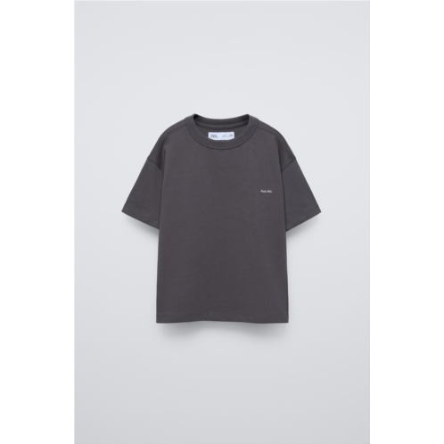 Zara EMBROIDERED HEAVYWEIGHT T-SHIRT