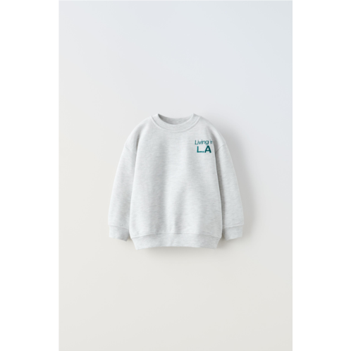 Zara MAP OF L.A EMBROIDERED SWEATSHIRT